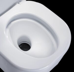 Saneo-toilet-bowl